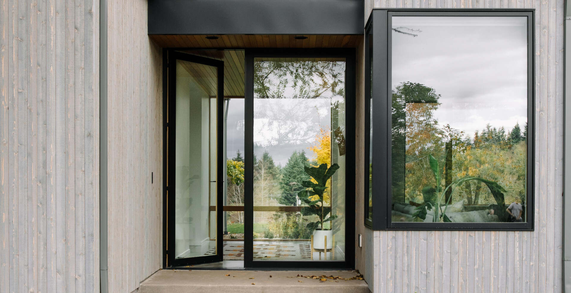 Curtain Wall & Pivot Door Residence